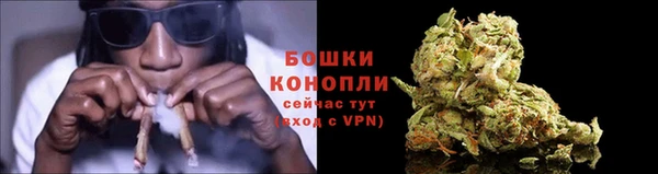 ГАЛЛЮЦИНОГЕННЫЕ ГРИБЫ Кукмор
