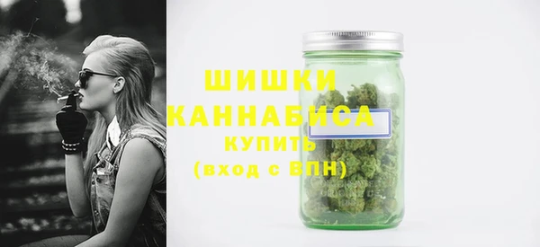 мдпв Лагань