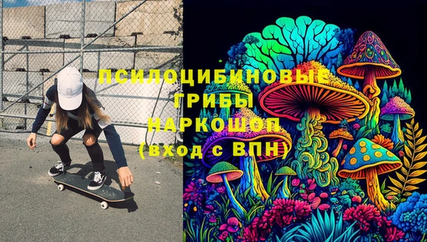 ГАЛЛЮЦИНОГЕННЫЕ ГРИБЫ Кукмор