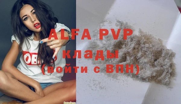 индика Куйбышев