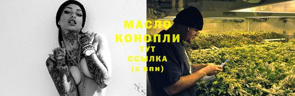 индика Куйбышев