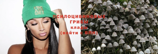 Альфа ПВП Ладушкин