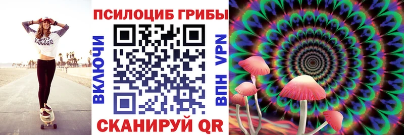 Псилоцибиновые грибы GOLDEN TEACHER KRAKEN сайт Красково как найти наркотики